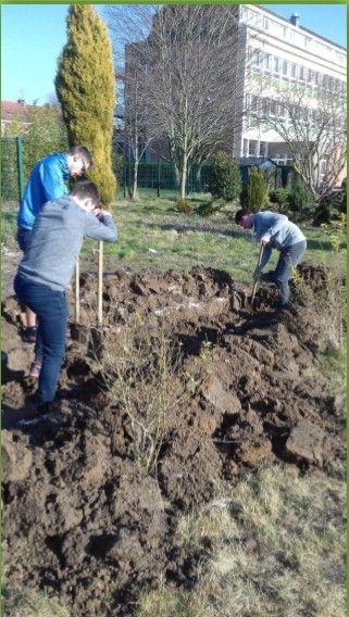 projet jardin